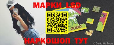 дмт Кандалакша