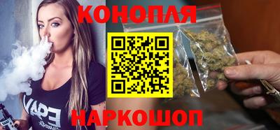 Альфа ПВП Камышлов