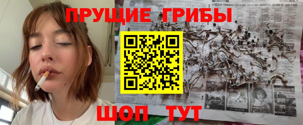 Тельмана  Псилоцибиновые грибы Cubensis  Псилоцибиновые грибы Psilocybine cubensis  Вход с VPN 